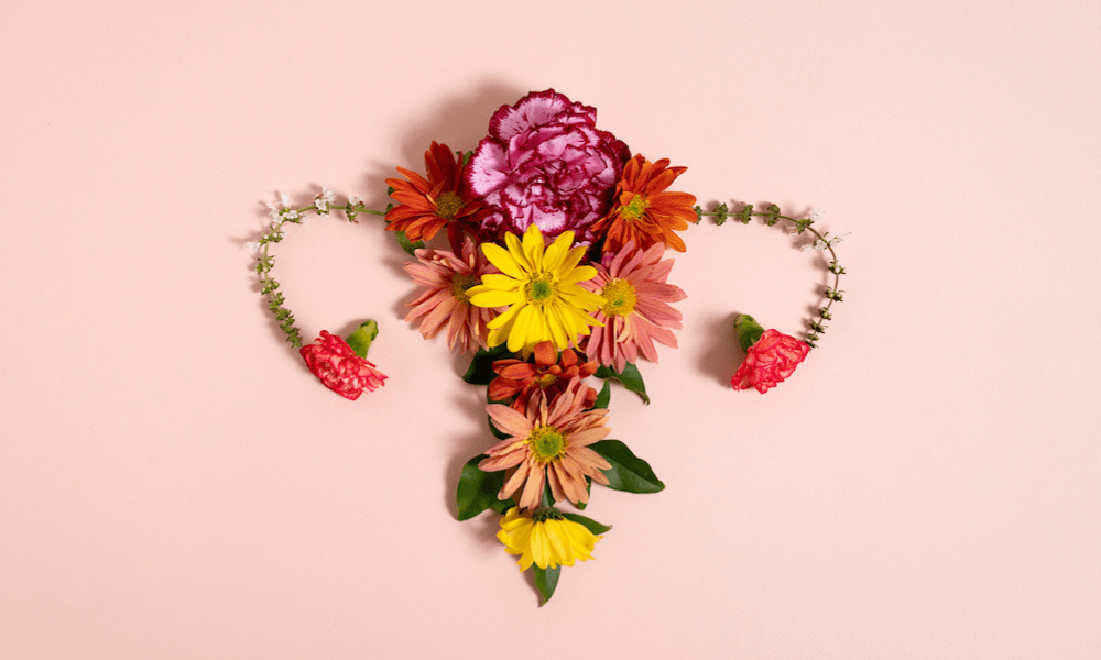 Plenareno PCOS Congress at Abu Dhabi, UAE